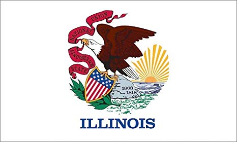 Illinois Auto Insurance Non Drivers And Sr 22 Solo Insurance