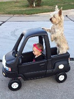 little girl driving toy car with her dog